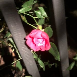 Meet your Posher, Keith